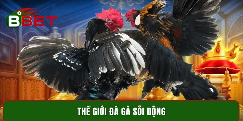 Thế giới đá gà sôi động